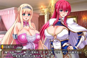 A2615 王女x女骑士：超绝下品露出会 官方中文补完版+CG【PC+安卓/3G】