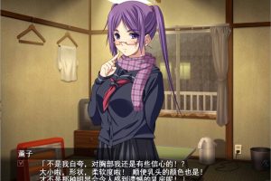 最终吃汉电车3 精翻汉化完整版+全CG存档+攻略★全CV[新汉化/3.2G]