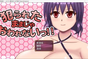 不会就这样结束的！！V1.01 AI汉化版+全回想存档[新汉化/1.2G]