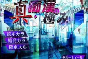 A2537 真·电车癡汉猎艳团 Ver1.18 完全版+全CG【管理癡汉团队】【1.8G】