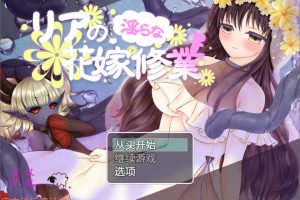 莉娅的银荡新娘训练 Ver1.0 AI汉化版+礼包码[PC+安卓][新汉化/1G]