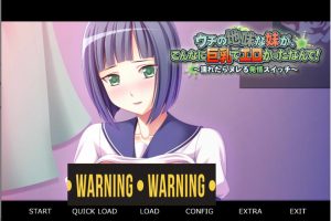 我那不起眼的妹妹,竟然这么丰满性感！AI汉化版[新汉化/400M]