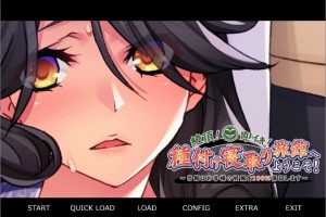 绝顶!即刻!欢迎来到播种夺妻旅馆!~本馆保证客人100%怀孕~AI汉化版+存档
