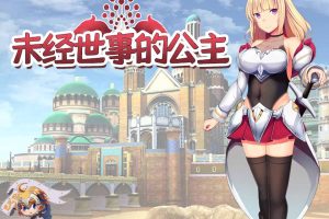 AY2374[未经世事的公主-ずのお姫様][巴比伦汉化版][新汉化/全CV]【1G】