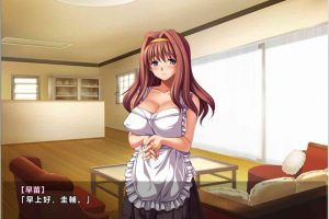 A6773 爱妻日记~完美人妻与不举夫！[精翻汉化版+全动画][新汉化/全CV][1.2G]