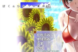 A2345我暑假的秘密回忆 Ver2.0汉化版+攻略+存档+礼包【PC+安卓】【3G】