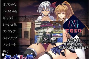 A6521 格斗美少女的终极丑态！[PC+安卓模拟][汉化版+CG动画][600M]