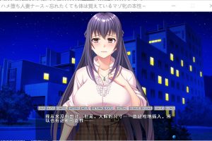 被诱入的人妻护士 AI汉化版+全CG回想★全CV[新汉化/1.6G]