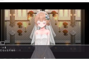 NTR~新婚妻子小惠的堕I落 官方中文步兵版★全CV[1月新作/1.5G]