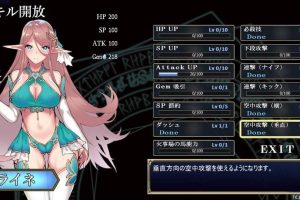 A3739 【PC】【ACT】银纹的交叉之路：银紋のクロスロード DL正式版【900M】