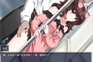 拥挤的电车~最喜欢的主播猥O事件~ AI汉化内嵌版[新汉化/500M]