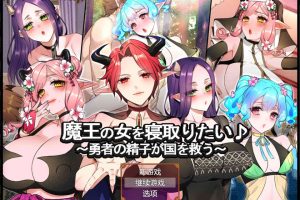 想要夺走魔王的女人 ~勇者的金子拯救国家~ AI汉化版+存档[新汉化/1.2G]