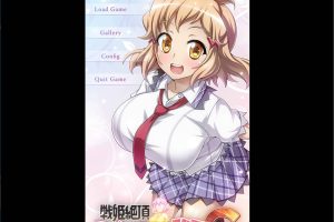 战姬绝顶死或生游戏 云翻汉化版[6月新作/2.2G]