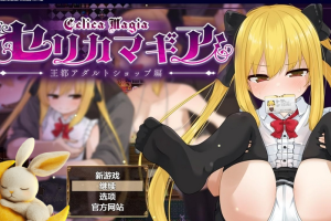 【日系RPG/AIGPT汉化】塞尔卡魔法之王都成人商店篇1.0 【PC+安卓/2.03G】