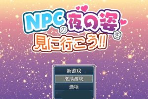 【日系RPG/AIGPT汉化】去看NPC的夜装吧1.0 版【PC+安卓/696M】御